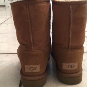 UGG Classic || (2) Short in Chestnut
